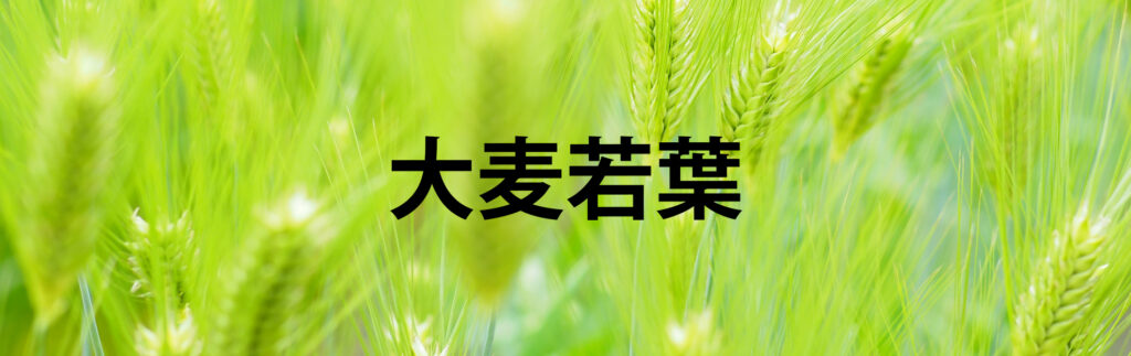 大麦若葉