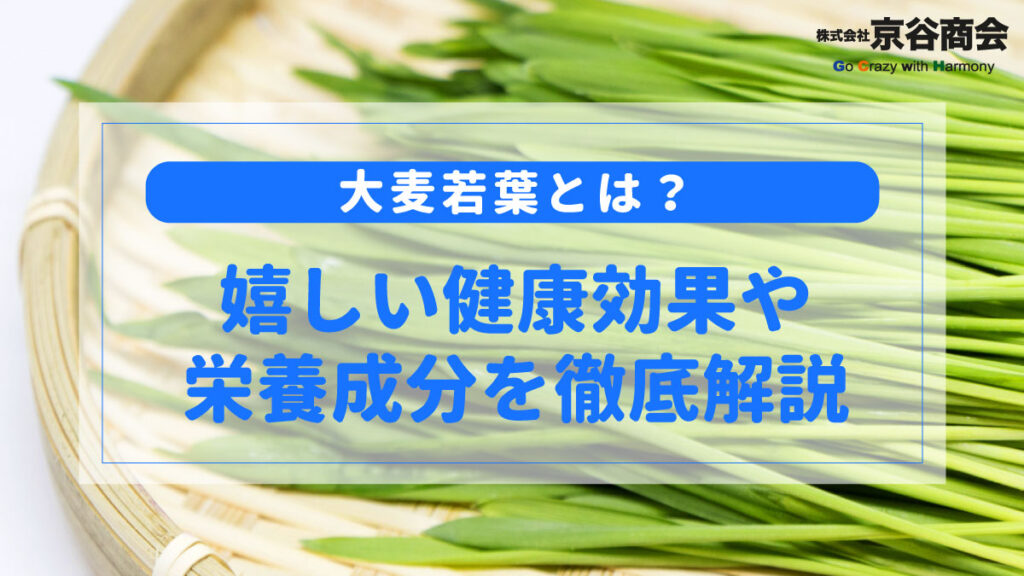 大麦若葉とは？