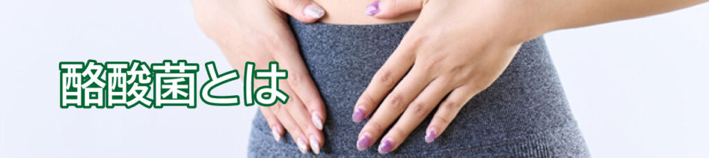 酪酸菌とは、大腸で食物繊維を分解して「酪酸(らくさん)」を作り出す善玉菌の総称です。