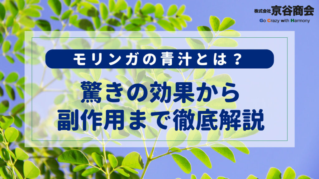 モリンガの青汁とは？驚きの効果から副作用まで徹底解説